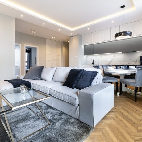 Modern living-room and kitchen in stylish apartment
